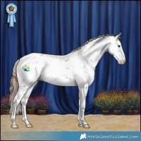 Horse Color:Chestnut Sabino