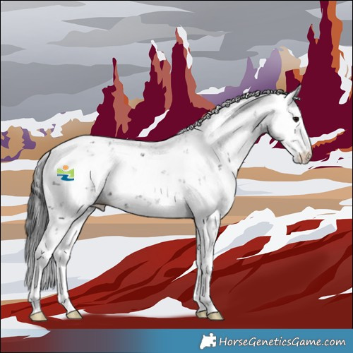 Horse Color:Black Sabino 