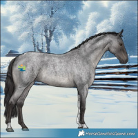 Horse Color:Smoky Blue Roan Tobiano Rabicano 