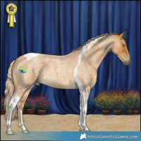 Horse Color:Palomino Roan Tobiano 