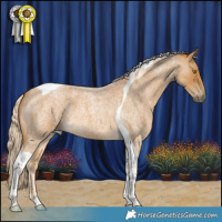Horse Color:Palomino Roan Tobiano 