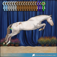 Horse Color:Red Dun Appaloosa Rabicano 