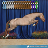 Horse Color:Red Dun Varnish Rabicano 