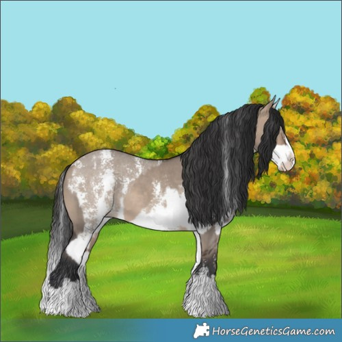 Horse Color:Brown Dun Sabino Splash  and Brown Dun Sabino Splash 