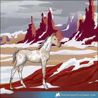 Horse Color:White Spotted Red Dun Rabicano 
