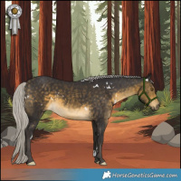 Horse Color:White Spotted Silver Buckskin 