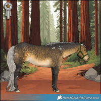 Horse Color:White Spotted Silver Buckskin 