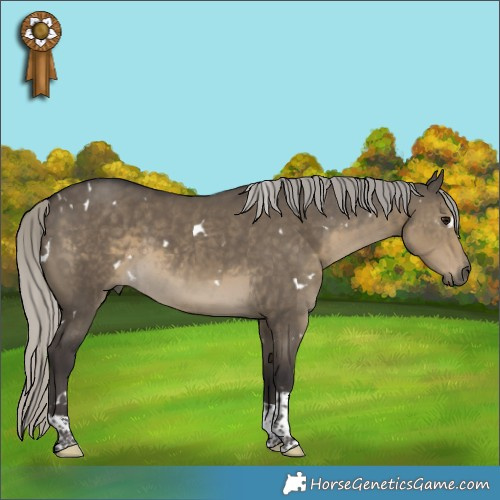 Horse Color:White Spotted Silver Smoky Grullo Tobiano Rabicano 
