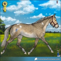 Horse Color:White Spotted Silver Buckskin Dun Tobiano Rabicano 