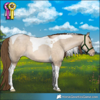 Horse Color:Brown Pearl Dun Tobiano Appaloosa Rabicano