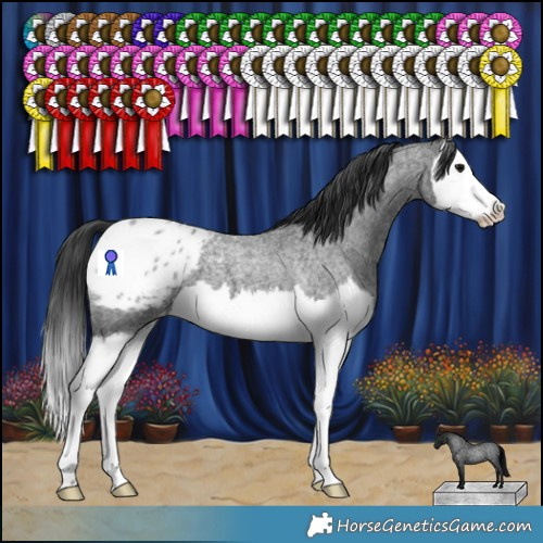 Horse Color:Blue Roan Splash Blanket 