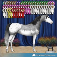 Horse Color:Blue Roan Splash Blanket 