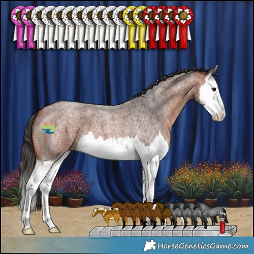Horse Color:Bay Roan Splash 