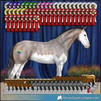 Horse Color:Bay Roan Splash