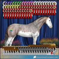 Horse Color:Bay Roan Splash 