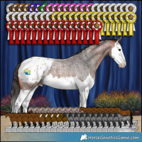 Horse Color:Bay Roan Splash Blanket 