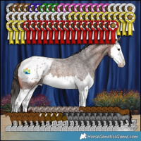 Horse Color:Bay Roan Splash Blanket
