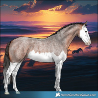 Horse Color:Bay Roan Splash 