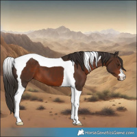 Horse Color:Liver Chestnut Tobiano 