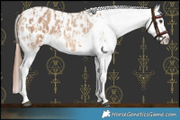 Horse Color:Red Dun Blanket  and Red Dun Tobiano Blanket 
