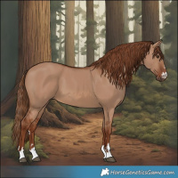 Horse Color:Red Dun 