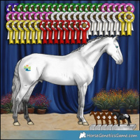 Horse Color:Gray Blue Roan Frame Appaloosa