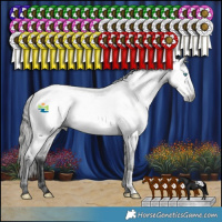 Horse Color:Gray Blue Roan Frame Appaloosa