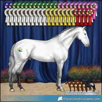 Horse Color:Gray Blue Roan Frame Appaloosa 