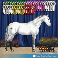 Horse Color:Gray Blue Roan Frame Appaloosa 