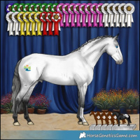 Horse Color:Gray Blue Roan Frame Appaloosa