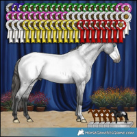 Horse Color:Gray Blue Roan Frame Near Fewspot 