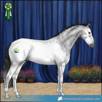 Horse Color:Gray Blue Roan Splash Frame Appaloosa 