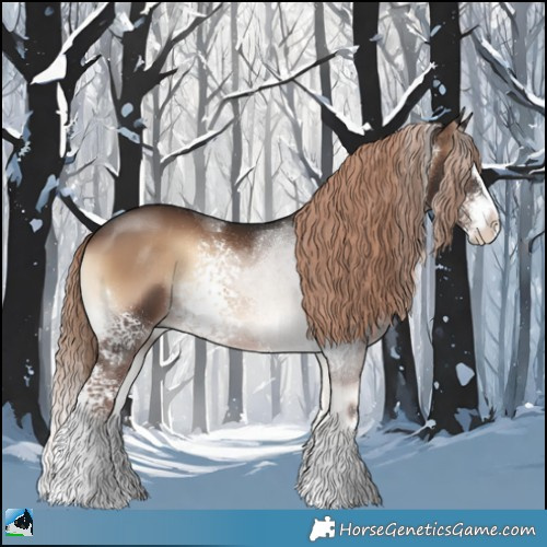 Horse Color:White Spotted Liver Red Onyx Sabino Splash Rabicano 