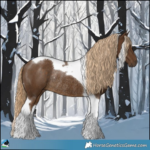 Horse Color:Chocolate Palomino Tobiano Rabicano 