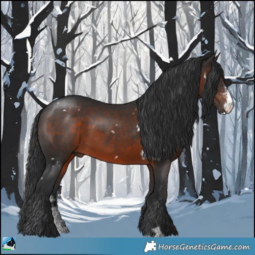 Horse Color:White Spotted Brown Sabino 