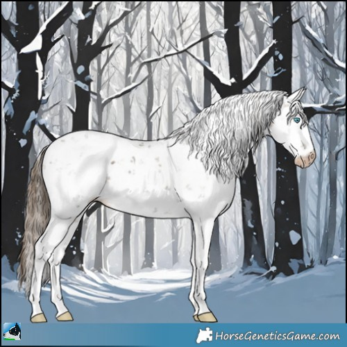 Horse Color:Gray Buckskin Ice Pearl Sabino Rabicano 
