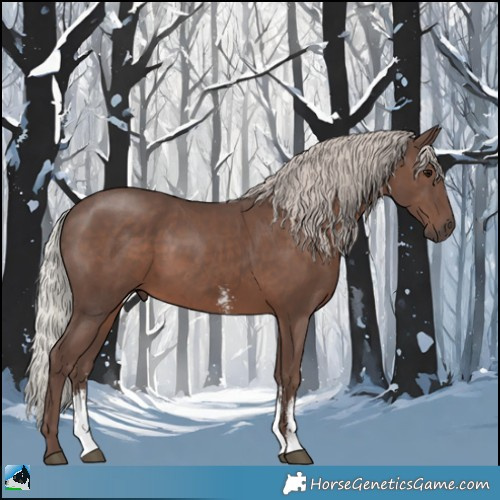 Horse Color:Silver Black Sabino Rabicano 