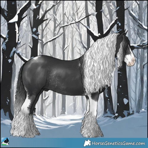 Horse Color:Black Sabino Splash Tobiano Rabicano 