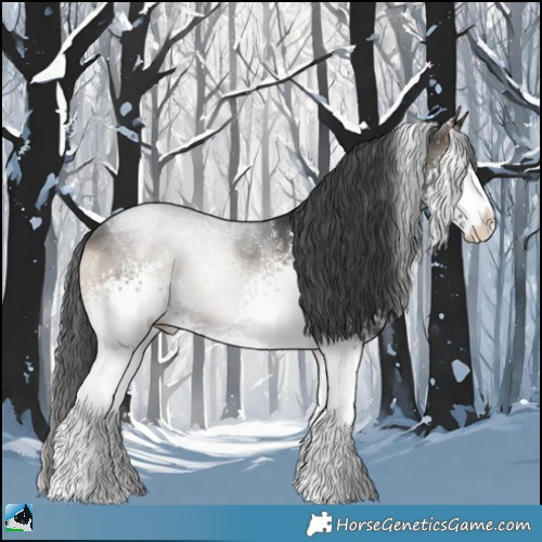 Horse Color:White Spotted Blue Onyx Rabicano 