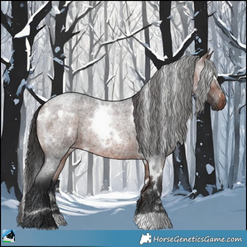 Horse Color:White Spotted Bay Roan Rabicano 