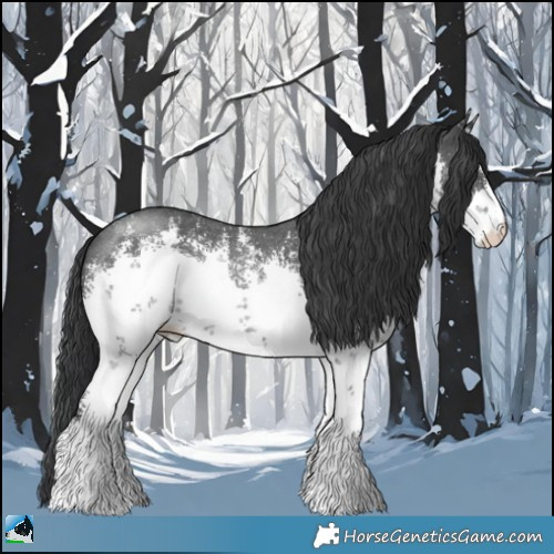Horse Color:White Spotted Black Sabino Rabicano 