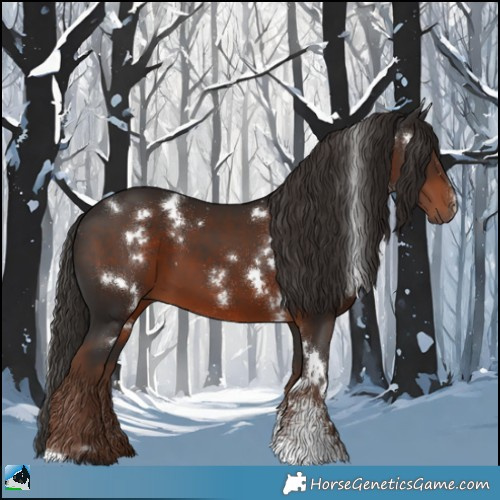 Horse Color:White Spotted Liver Chestnut Sabino 