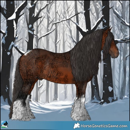 Horse Color:White Spotted Bay Ice Tobiano Rabicano 