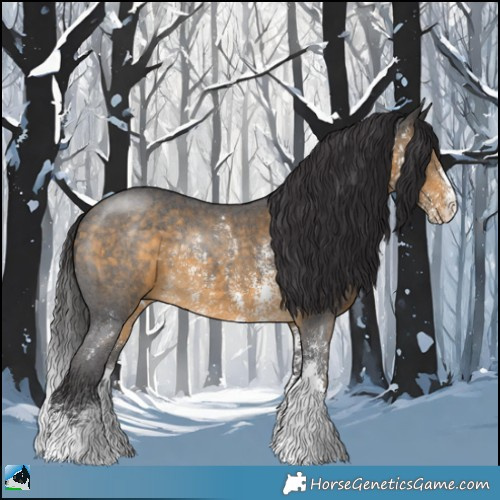 Horse Color:Buckskin Sabino Rabicano 