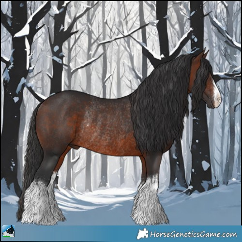 Horse Color:White Spotted Brown Rabicano 