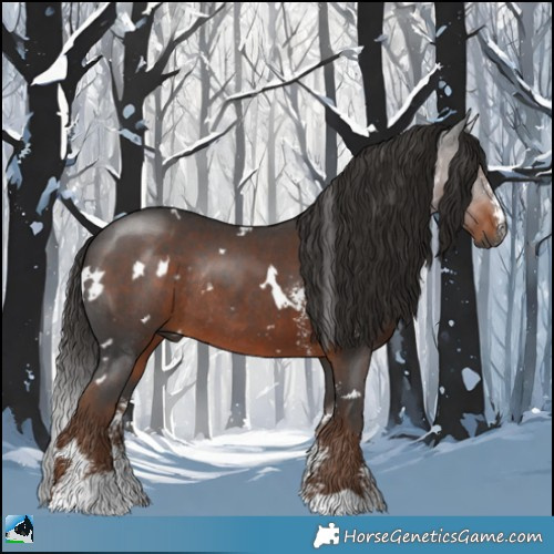 Horse Color:Gray White Spotted Liver Chestnut Sabino Rabicano 