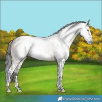 Horse Color:Gray Brown Dun Splash Tobiano