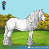 Horse Color:Silver Black Chinchilla Near Fewspot 
