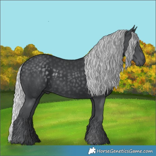Horse Color:Silver Black Chinchilla Rabicano 