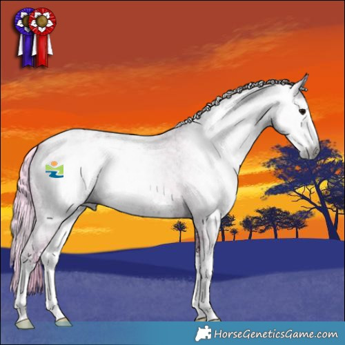 Horse Color:Gray Watercolor Blue Ice Roan Sabino Appaloosa 
